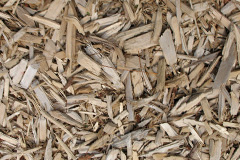 biomass boilers Berechurch